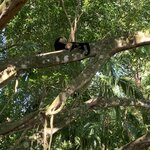 Photo taken by Anna A