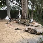 Photo taken by Cindy H