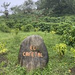 Photo taken by Alexia M