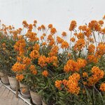 Photo taken by Kimberly A