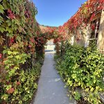 Photo taken by Lisa S