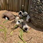 Photo taken by Brittany Leslie Lynn S