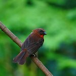 Photo taken by Dawne D