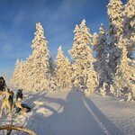 Photo taken by Anna P