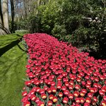 Photo taken by Jennifer D