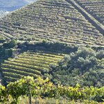 Photo taken by Julie G