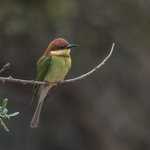 Photo taken by Graham D