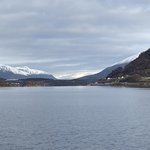 Beauty everywhere | Photo taken by Robin W