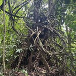 Photo taken by Randy H