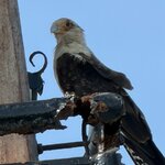 Photo taken by rebecca t