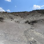 Photo taken by Kristin M