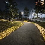 Photo taken by Zulhelmi R