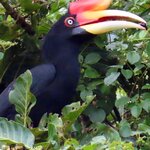 Photo taken by Rob C