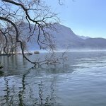 Photo taken by Lisa H