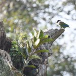 Photo taken by Graeme W