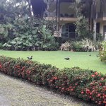 Photo taken by Claudia S