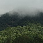 Photo taken by Allyson A