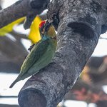 Photo taken by Graham D