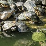 Photo taken by Jason C