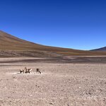 Photo taken by Shirley S