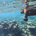 Photo taken by Susan D