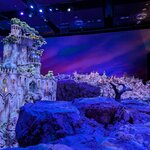 Photo taken by Thao T