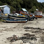 Photo taken by Elena L