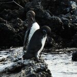 Photo taken by Patricia D