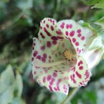 Photo taken by Mordechay T