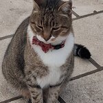 Photo taken by Richard W