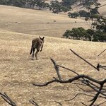 Photo taken by Amy Z