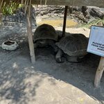 Photo taken by Brittany Leslie Lynn S