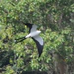 Photo taken by Graeme W