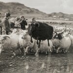 Photo taken by Jeff F