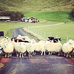 Photo taken by Lana M