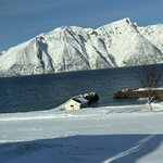 Photo taken by Tracy K