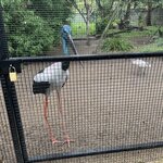 Photo taken by Cindy H