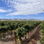 Photo taken by kirsten b