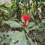 Photo taken by Insiyah K