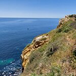 Photo taken by Mike T