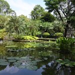 Photo taken by Anil C