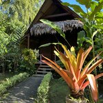 Photo taken by JULIE M