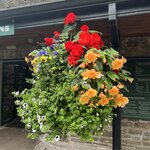 Photo taken by Kathy O