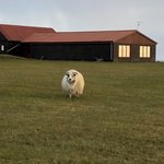 Budir | Photo taken by Josephine M