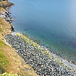 Photo taken by Alexandra Z