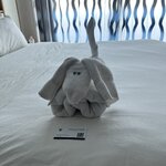 Photo taken by Amanda F