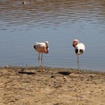 Photo taken by Jananee J