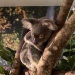 Photo taken by Ken K