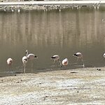 Photo taken by lynn o