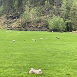 Photo taken by Susan K